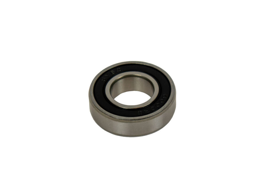 SPK Lager 6000 2RSH RVS